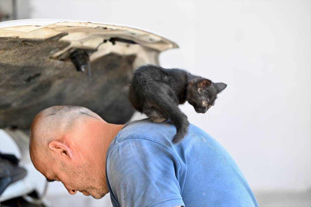 Tamirhanenin yeni Çırak'ı görenlerin yüzünü güldürüyor 14